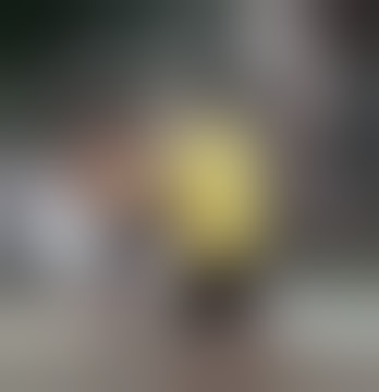 randy pangalila vs adhi pawitra highlights - Celebrity Fight