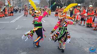 TInkus Kenchas en Villaverde-Madrid