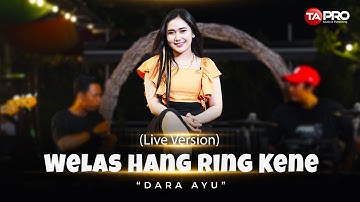 Dara Ayu - Welas Hang Ring Kene  ( Live Ska Koplo )