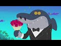 Zig & Sharko 🌺 TAKE MY ROSES MARINA 🌺 A LOVE STORY ❤️ Cartoons for Children