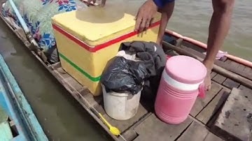 Lũ tràn bờ tới Nóc Cả Xóm CÁ CHẠCH trúng đậm mùa cá chạch đồng