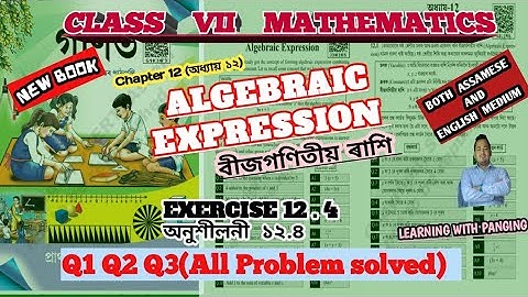 Exercise 12.4| CLASS VII MATH