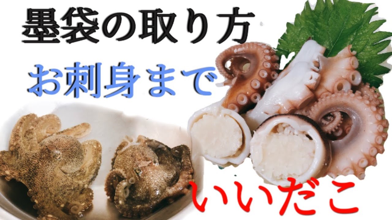 魚屋 飯蛸 いいだこ の下処理からお刺身まで Youtube