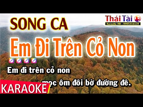 Karaoke Em Đi Trên Cỏ Non Song Ca - Thái Tài