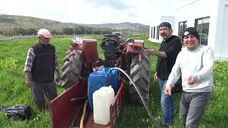 Muğla Bodrum Kestane Fi̇dani Önder Uyar Foto Ayfa