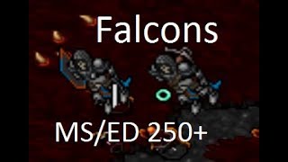 Tibia [ED/MS 250+] Falcon Knight/Paladins (2.5-3kk/h at 100%)