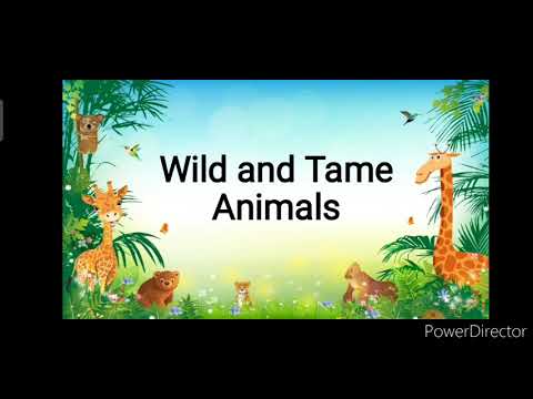 Wild and tame animals ( Science Kinder)