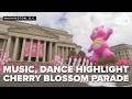 Music, dance highlight Cherry Blossom Parade