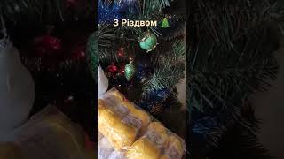 З Різдвом 🎄