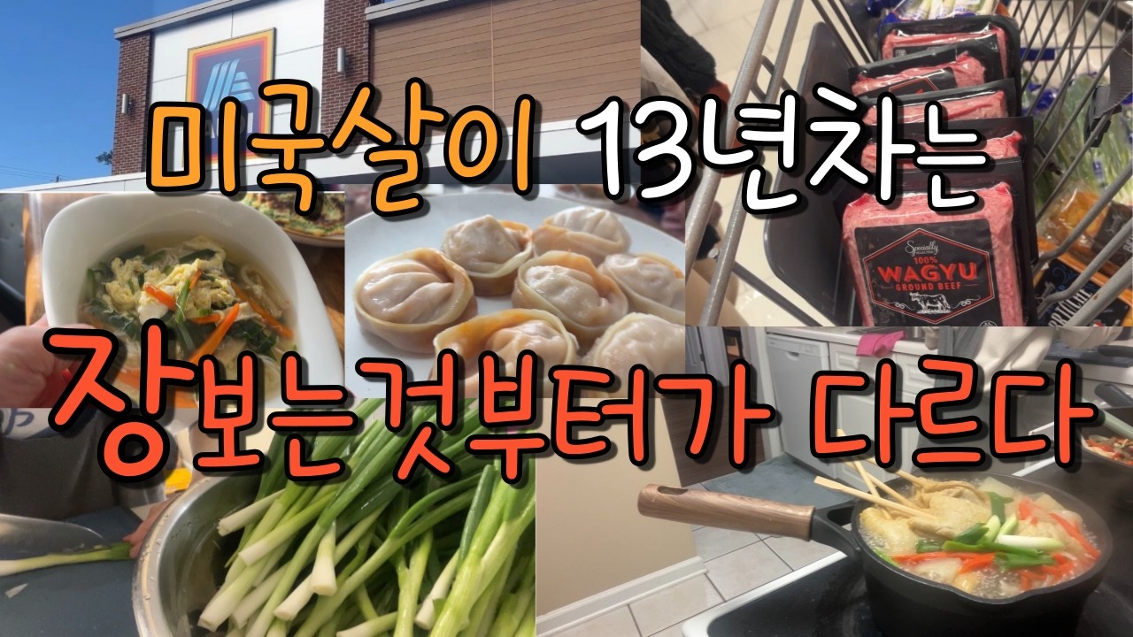 미국일상브이로그 |미국살이 13년차 알디(ALDI)가면 무조건 쟁이는건 | 마트에서 장보고 집밥 해먹는 일상