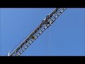 Condecta eurokran 301033 fast erecting crane