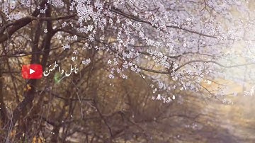 ارح سمعك بتلاوه خاشعه لسوره التوبة 🎧❤️‍🩹