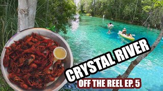 Crystal River Things To Do Other Than Fishing (Off The Reel)