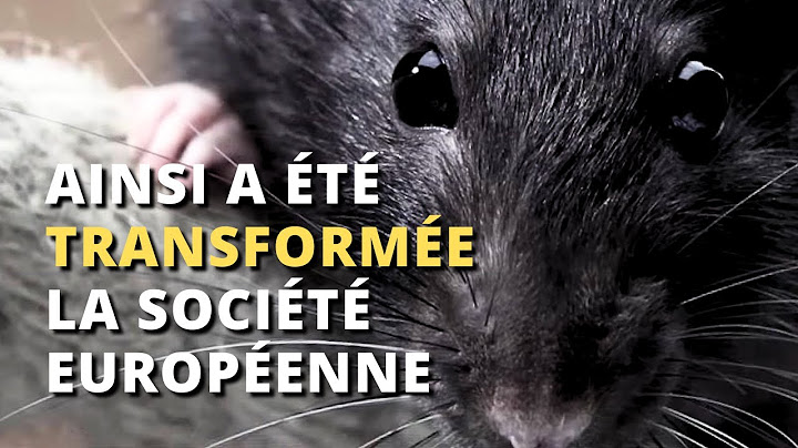 Peste Noire : La Pandémie qui a Changé le Monde