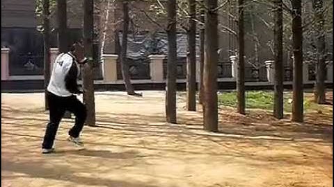 Jiang Style Baguazhang