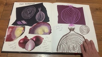 NCAD portfolio sketchbook submission 2023