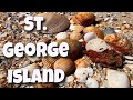 SHELLING St. George Island With Dad