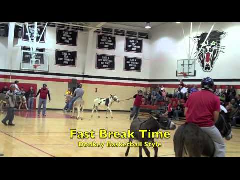 DBBC Donkey Basketball - FINAL GAME