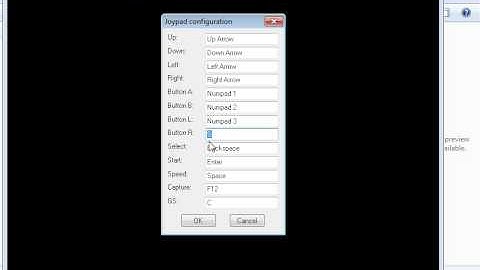 My Visual Boy Advance Settings