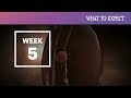 5 Weeks Pregnant - What to Expect Your 5th Week of Pregnancy
