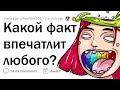 Странные ФАКТЫ, которые УДИВЯТ ЛЮБОГО 🤔