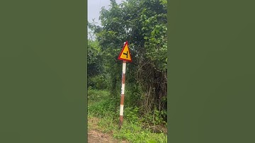 Bán vườn mít 2sào5 ở xà bang,châu đức,brvt nay là tp hồ chí minh