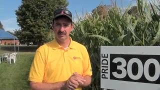 Corn School 1-36: New Genetics Prove Their Worth In Tough Times