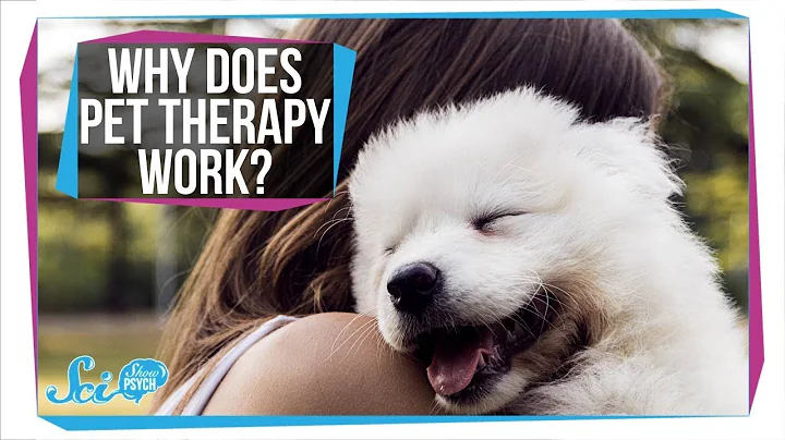 Why Does Pet Therapy Work? (It's Not Just Cute Dogs) - DayDayNews