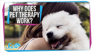 Do therapy dogs actually help?