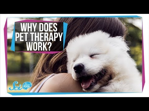 pets therapy