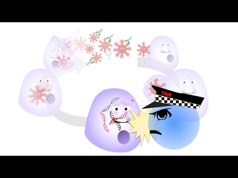 Youtube Microbiology Journal Club