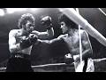 Salvador Sánchez vs Danny Little Red Lopez I. Highlights