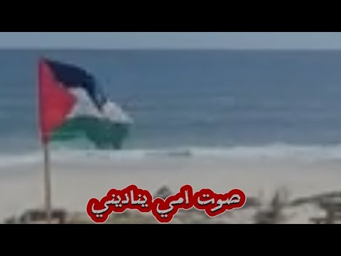 أنا دمى فلسطيني بدون موسيقى
