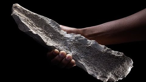 Lunch Hour Lecture | The Cradle of Humanity: Protecting Tanzania