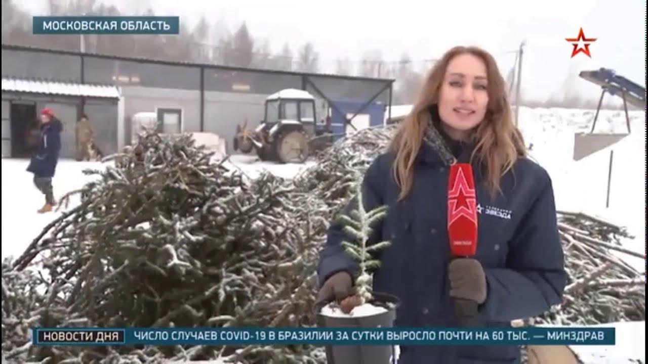 карусель анонс кремлёвская ёлка. кремлевская елка. кремлевская елка. елка в кремле. картина елка в кремле.