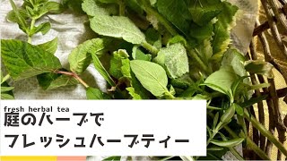 庭のハーブ ミントとローズマリーとオレガノでフレッシュハーブティーでリラックス Making Fresh Herbal Tea Youtube