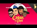 Miniature de la vidéo de la chanson Copas De Vino (Remix)