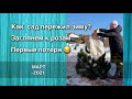 Прогулка по саду | Розы | Ожог хвойных | Гортензии | Дневник садовода