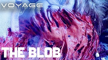 The Blob Goes To The Movies | The Blob | Voyage