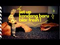 KANDANG LEOPARD GECKO : Review Hiding Cave - Water Dish Exo Terra - Karpet Reptil