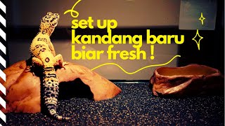 KANDANG LEOPARD GECKO : Review Hiding Cave - Water Dish Exo Terra - Karpet Reptil