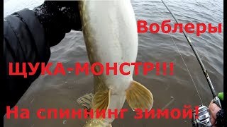 Зимний спиннинг. Февраль. Ловля русловой щуки на воблеры.