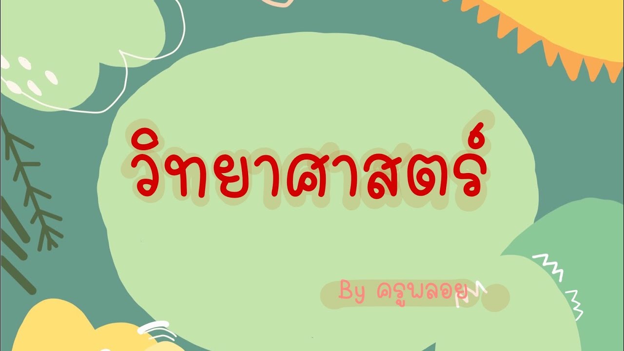 ความสำคัญของระบบย่อยอาหาร New 2022 ความสำคัญของระบบย่อยอาหารและแนวทางดูแลอวัยวะในระบบย่อยอาหาร