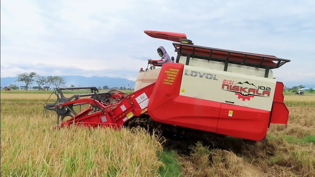 KOMBI SAWAH BESAR LOVOL NISKALA DI KUTUKULON JETIS PONOROGO
