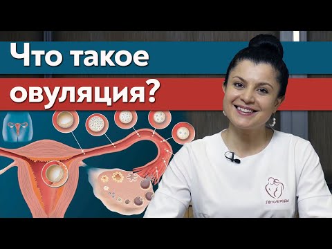 Видео: Разлика между плодородна и овулация