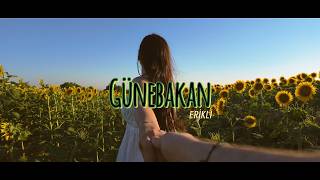 Metehan Yıldırım - Günebakan
