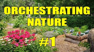 Raised Garden Beds on a Budget | Orchestrating Nature #1