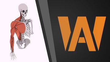 Muscle Solver Rig Demo