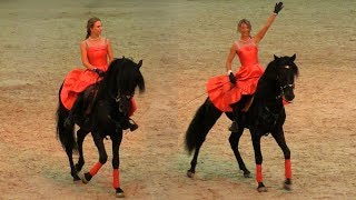 Андалузские лошади и всадницы красавицы #ИППОсфера 2018 Spanish Andalusian horses show #Hipposphere Андалузские лошади и всадницы красавицы #ИППОсфера 2018 Spanish Andalusian horses show #Hipposphere