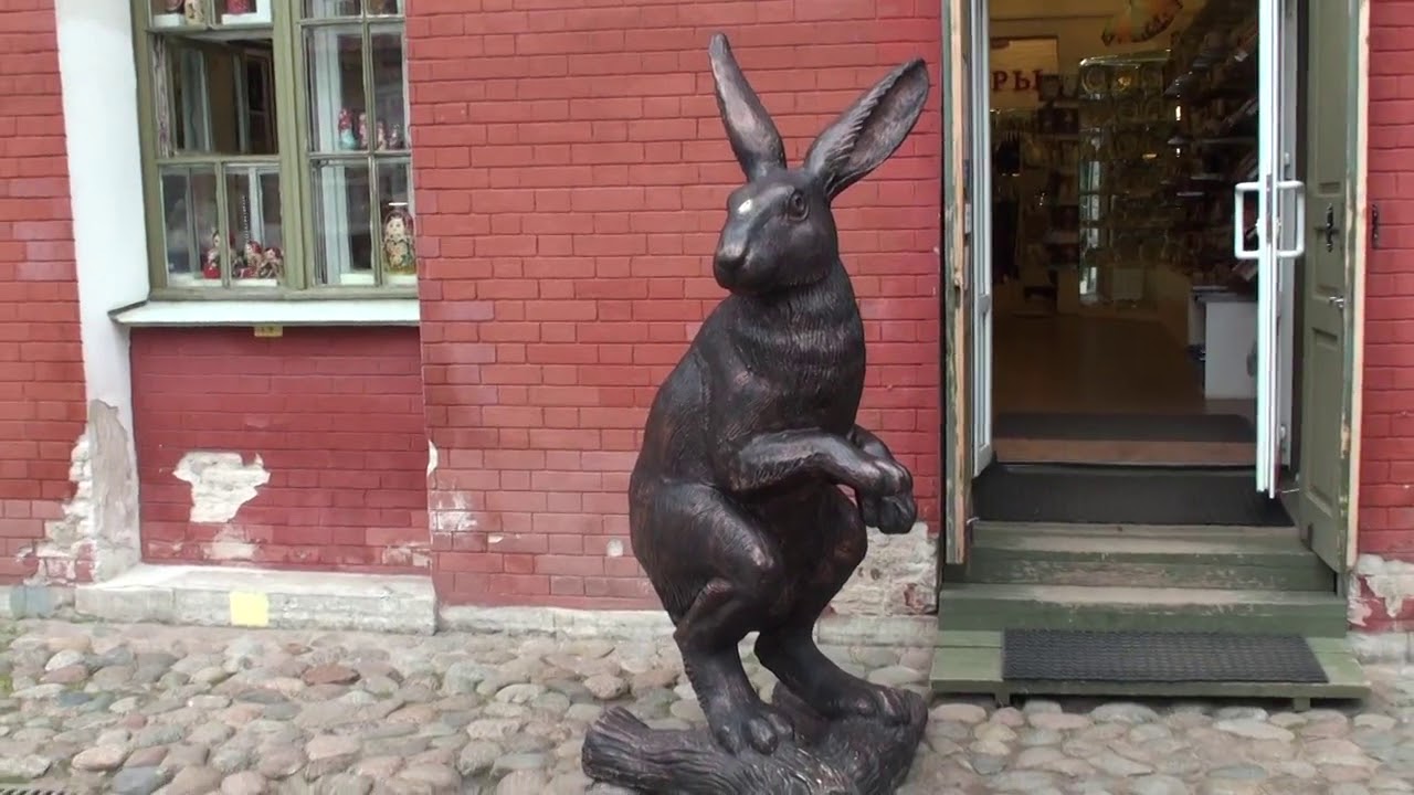rabbit in russia / Что можно увидеть в Санкт Петербурге YouTube